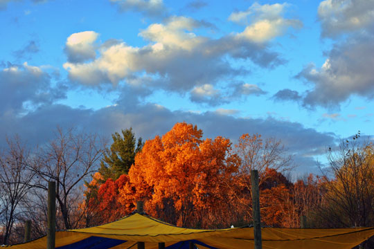 Spring Valley View ©Richard Alan Fox All Rights Reserved